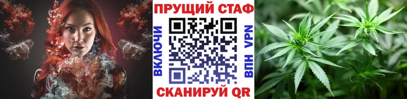 Где купить наркотики Кингисепп A PVP Кетамин Псилоцибиновые грибы Гашиш Кокаин Конопля Меф АМФ