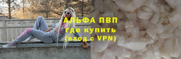 шишки Медвежьегорск