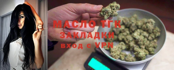 шишки Медвежьегорск