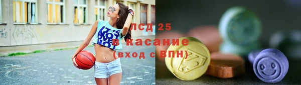шишки Медвежьегорск