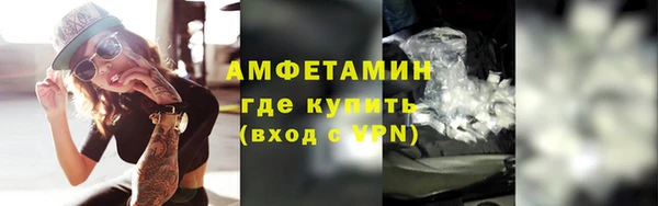 шишки Медвежьегорск