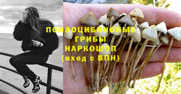 бутират Мегион