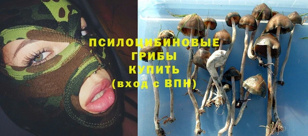 бутират Мегион
