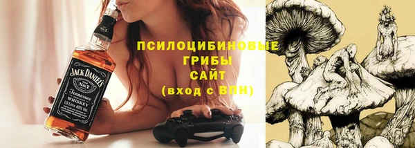 бутират Мегион