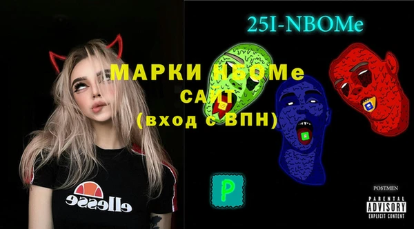 шишки Медвежьегорск