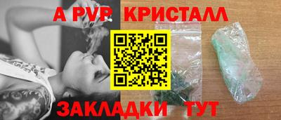 стаф Гай
