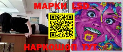 стаф Гай