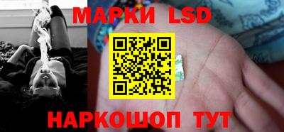 стаф Гай