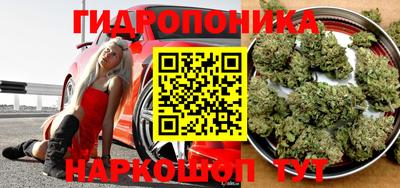 спайс Гагарин