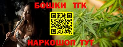 спайс Гагарин
