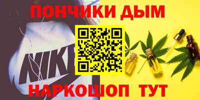 спайс Гагарин