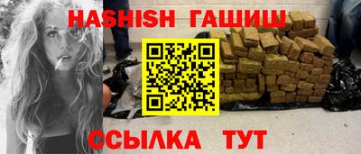 стаф Гай