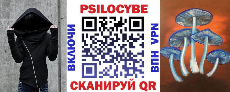blacksprut зеркало  дарнет шоп  Кингисепп  Галлюциногенные грибы MAGIC MUSHROOMS 