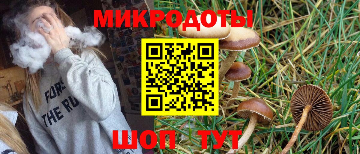 Кингисепп  Галлюциногенные грибы Cubensis  Вход с VPN  цена наркотик  Галлюциногенные грибы Psilocybe 
