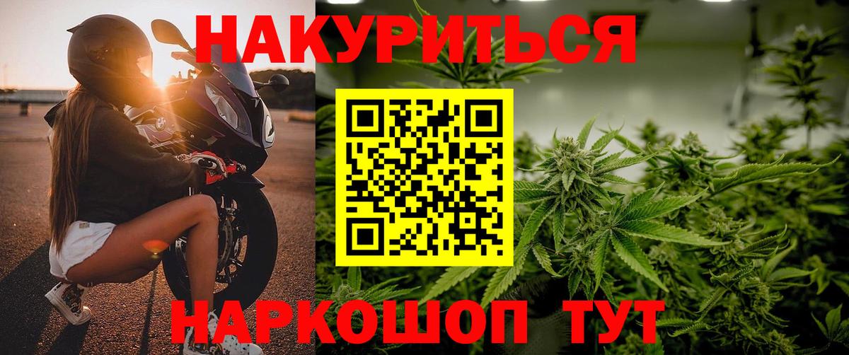 Бошки марихуана сатива  МАРИХУАНА MAZAR  Кингисепп  Канабис гибрид  МАРИХУАНА план  Вход с VPN 